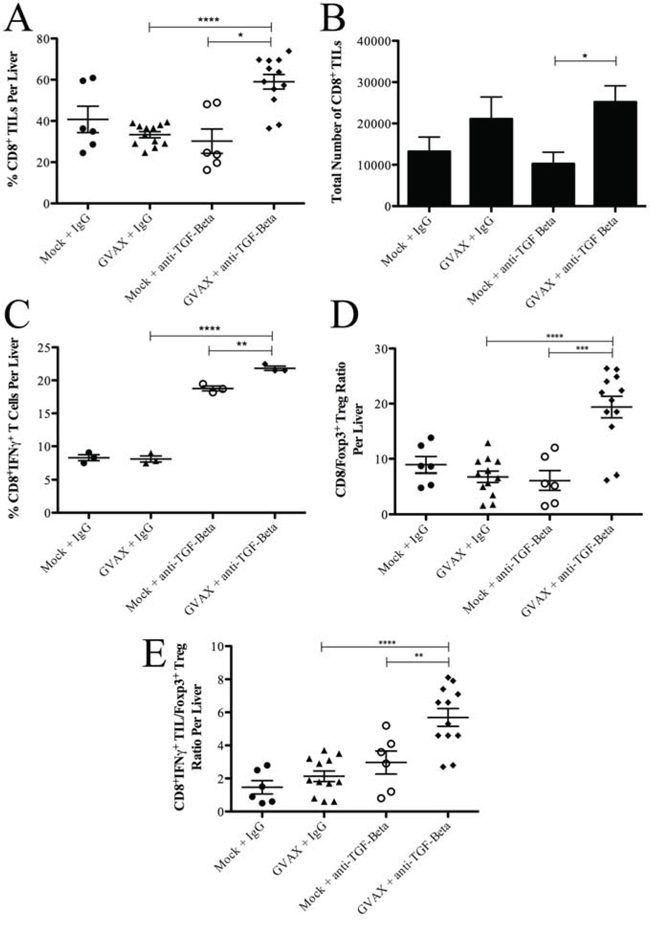 Combination therapy enhances the population of IFN&#x03B3;+ producing CD8+ T cell infiltration in the TME in the setting of decreased Tregs.