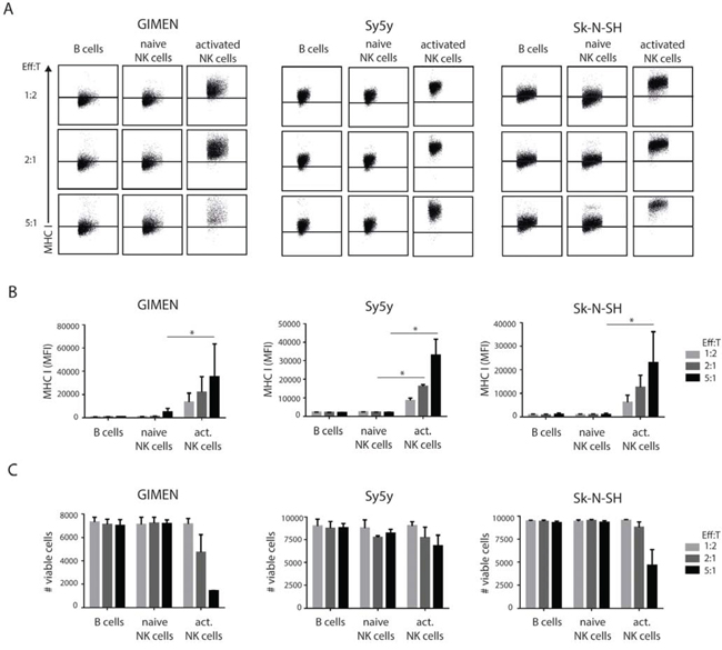 Class I MHC modulation on neuroblastoma cells by NK cell exposure.