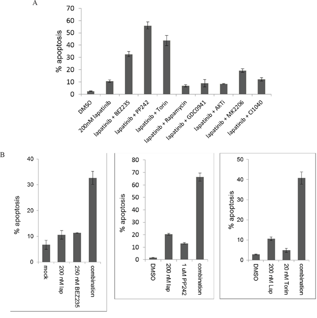 The apoptotic efficacy of lapatinib in combination with downstream targeting.