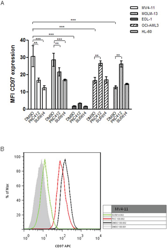 FACS analysis of CD97 expression in AML cell lines with different FLT3 mutation state.