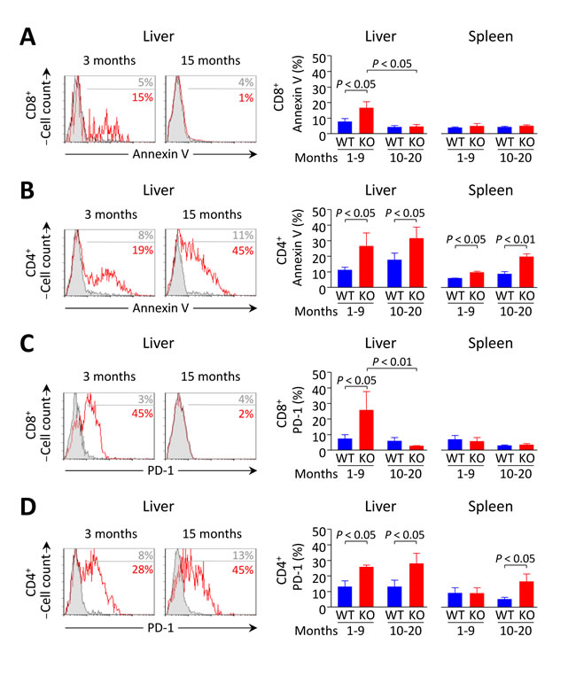 Increased apoptosis and PD-1 expression in liver-infiltrating CD8