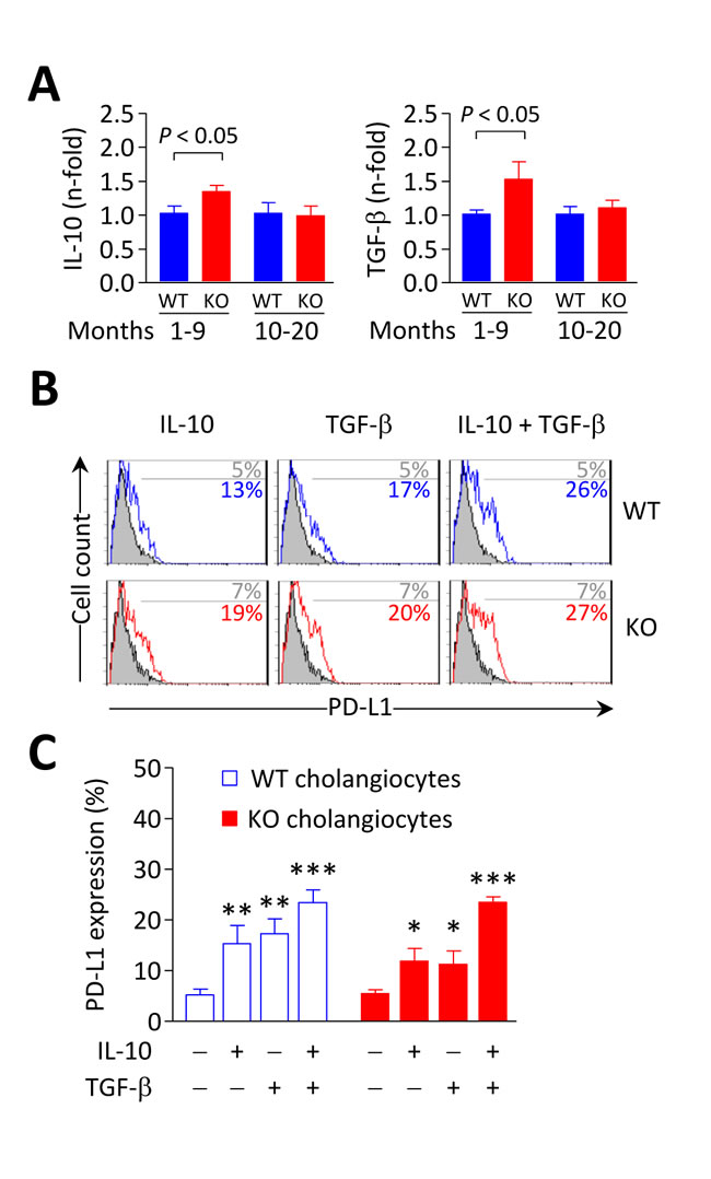 IL-10 and TGF-&#x3b2; induce PD-L1 expression on biliary epithelial cells.
