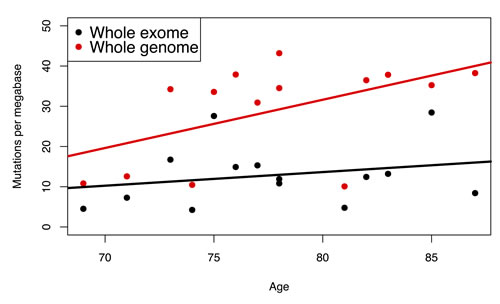 Mutation frequency as a function of age in 14 bladder tumors for which both whole exome and whole genome were available [11].