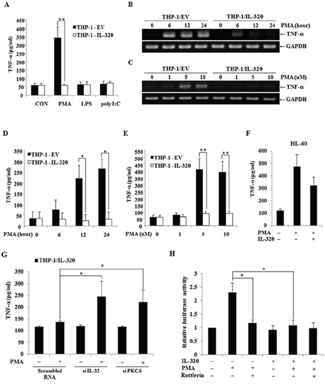 Inhibitory effects of IL-32&#x03B8; on the production TNF-&#x03B1; in THP-1 cells.