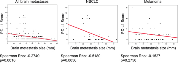 Correlation analyses of PD-L1 expression and brain metastasis size.