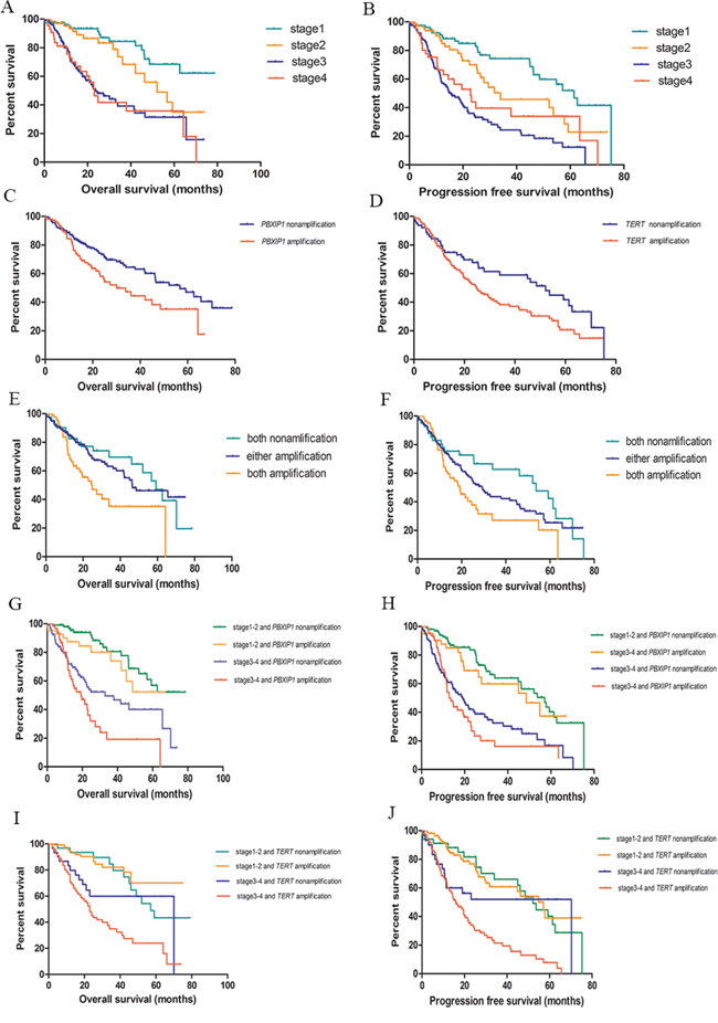 Kaplan-Meier survival curves for survival of lung adenocarcinoma.