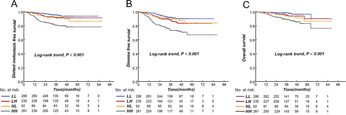 Kaplan-Meier curves of distant metastasis-free survival, disease-free survival, and overall survival according to the combination of pretreatment EBV DNA and SUVmax-N in NPC patients.