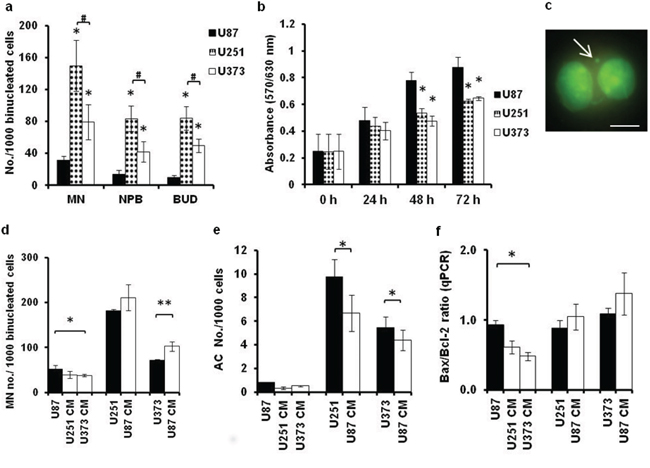 Media conditioned by GBM cells differentially affect genomic stability of U87, U251 and U373 cells.