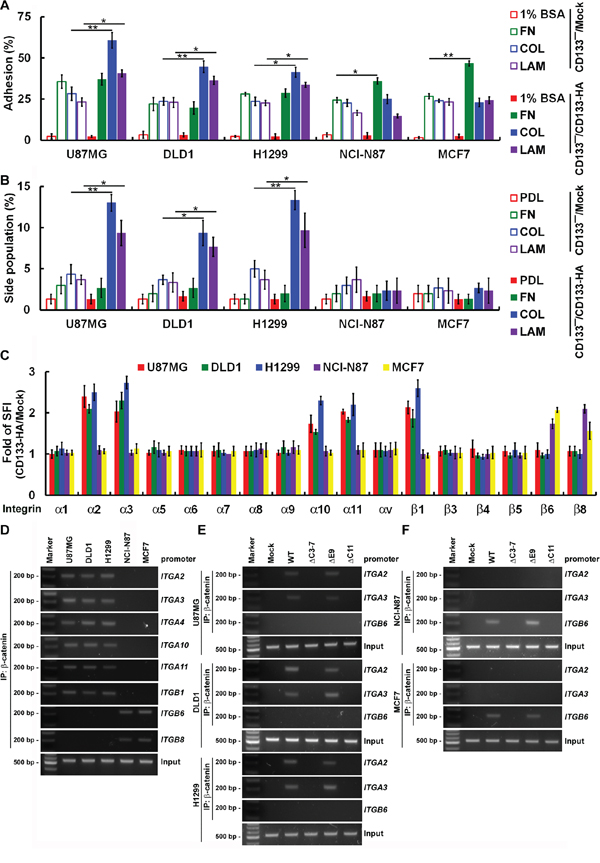 CD133 activity to maintain CSC properties depend on cancer type-specific integrin/ECM signaling.