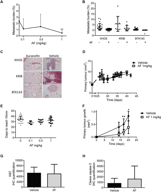 Auranofin is a potent inhibitor of OS metastasis in vivo.