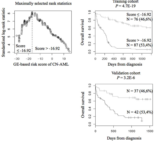 Prognostic value of GE-based risk score in CN-AML.