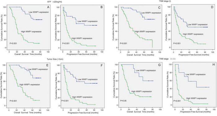 Correlation of WWP1 expression with OS and PFS in HCC subgroups.