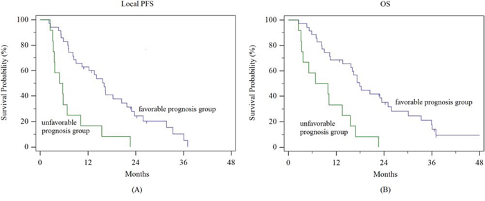 Local progression-free survival and overall survival of the favorable and unfavorable prognosis groups.
