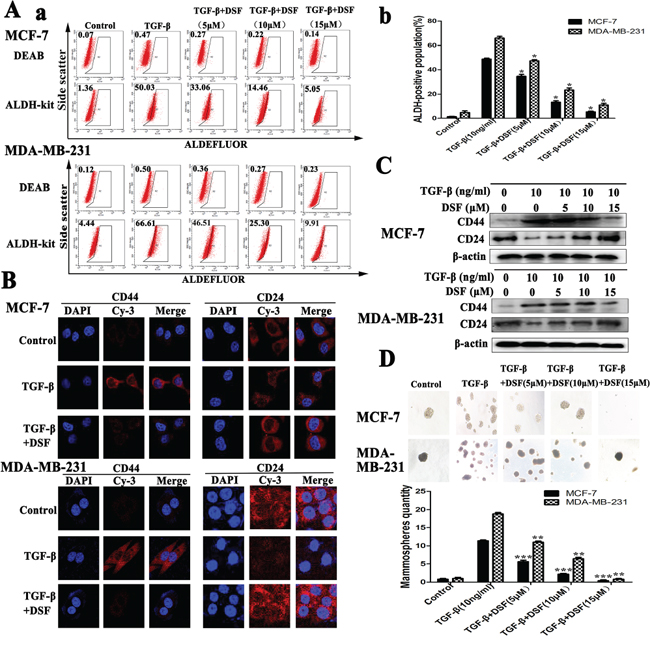 DSF inhibits stem-like properties generated by induction of TGF-&#x03B2; in breast cancer cells.