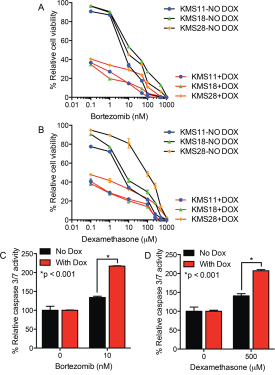 UCH-L1 depletion enhances myeloma cell apoptosis in response to bortezomib or dexamethasone.