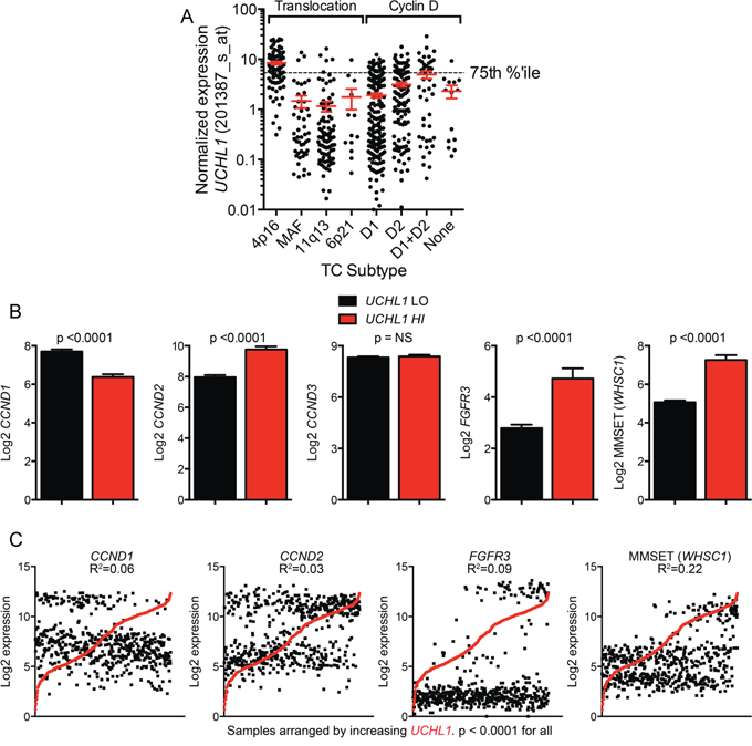 High UCHL1 levels correlate with the t(4;14) gene expression profile.