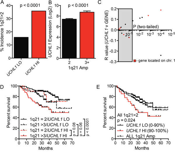 High UCHL1 levels correlate with amplification of chromosome 1q21.