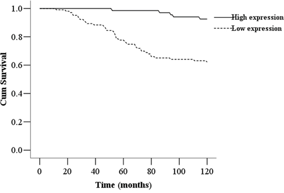 Kaplan-Meier survival curves of breast cancer patients.