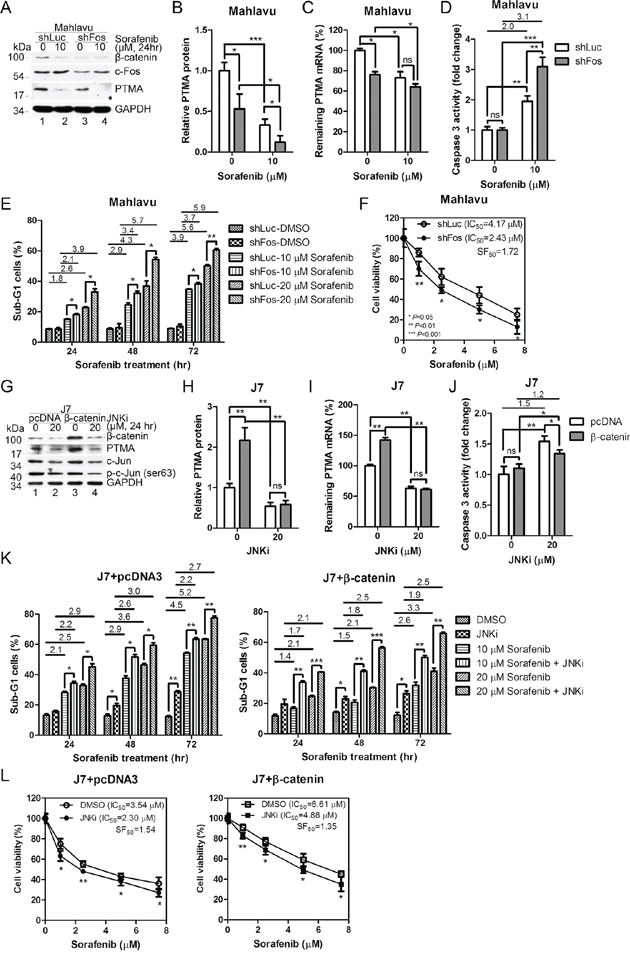 &#x03B2;-catenin and c-Fos are involved in the regulation of PTMA gene and HCC cell sensitivity by sorafenib.