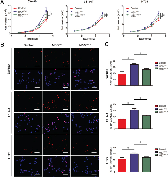 MSC-secreted IL-8 stimulates CRC cell proliferation.
