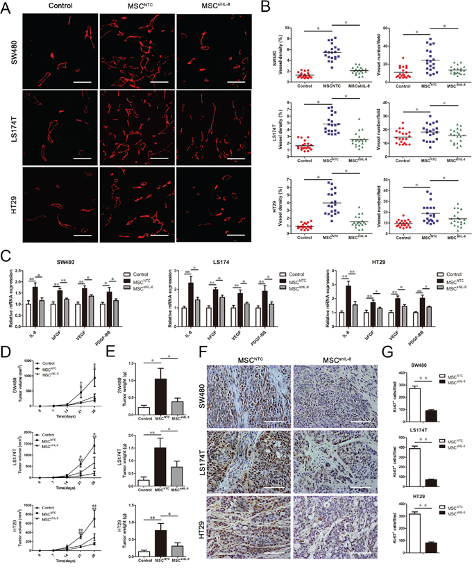 MSCs promote tumor angiogenesis and growth in vivo.