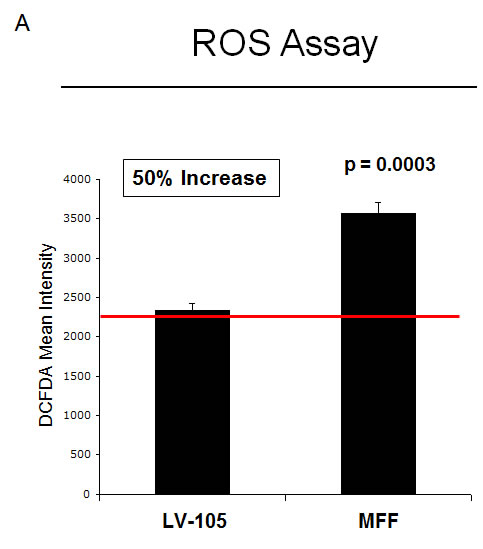 Fibroblasts over-expressing MFF show increased ROS generation, and induction of autophagy, with NF-kB hyper-activation. (A) ROS levels were measured by FACS analysis, as described under Materials and Methods. Note that MFF over-expression induces a 50% increase in ROS production, as compared to control cells. (B) Induction of an autophagic/mitophagic process was analyzed on cellular extracts of fibroblasts expressing MFF and empty vector controls by immunoblotting. Note that MFF-fibroblasts show the up-regulation of several markers of autophagy (LC3I/II and cathepsin B), and mitophagy (BNIP3 and BNIP3L), as compared to control cells. No changes were observed for Beclin-1 expression. &#946;-actin is shown as an equal loading control. (C) NF-kB activation was monitored by immuno-blotting with phospho-NF-kB antibodies. Note that MFF-fibroblasts show constitutive NF-kB activation, relative to control cells, suggesting that NF-kB activation maybe the mechanism driving the induction of autophagy. &#946;-actin was used as an equal protein loading control.