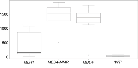 Box-and-whisker plot of the number of C:G > T:A transition mutations in MLH1, MBD4-MMR, MBD4 and &ldquo;WT&rdquo; CRC groups.