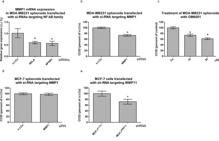 MMP1 expression is stimulated by NF-&#x03BA;B and contributes to CCID formation.
