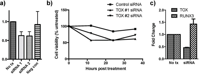 siRNA knockdown of TOX reduces cell viability and increases RUNX3 expression.