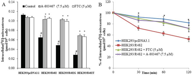 Effect of A-803467 on the accumulation and efflux of [3H]-MX in ABCG2-expressing cells.