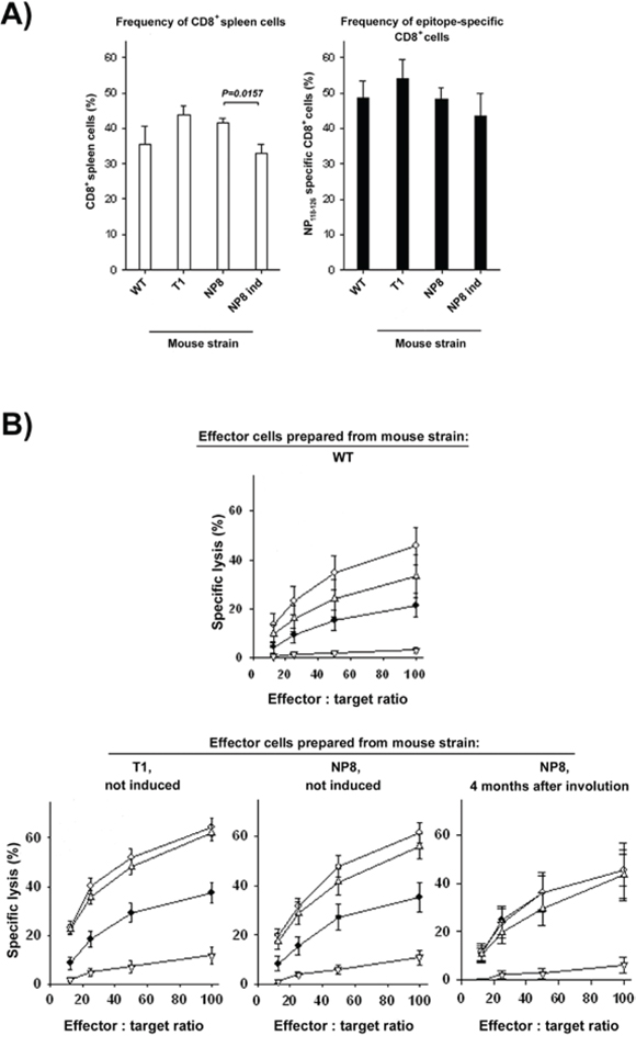 Frequency and functionality of CD8+ T cells in T1 and NP8 mice after acute systemic infection with LCMV.