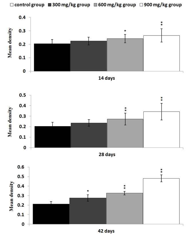 Changes of the mean density of NF-&#x3ba;B protein expression in the kidney Data are presented with the mean &plusmn; standard deviation (n=5&times;5) *