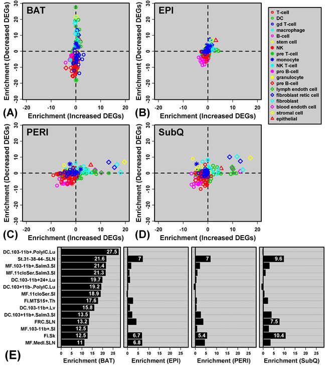 Genes with decreased expression in BAT are enriched with genes specifically expressed by dendritic cells and macrophages (Immunological Genome Project).