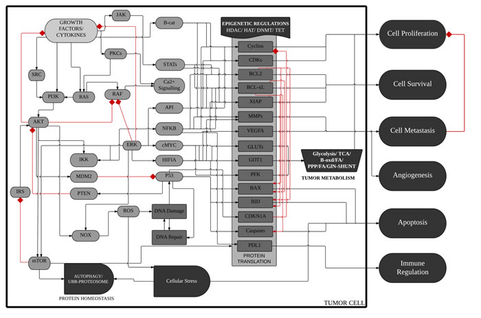 Schematic diagram of