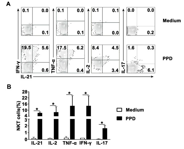 Antigen-induced expression of IL-21 with IFN-&#x3b3;, TNF-&#x3b1;, IL-2 and IL-17 by CD3