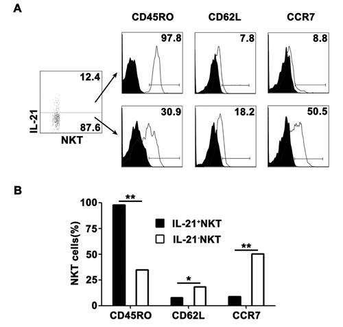 Characterization of IL-21-expressing NKT cells PFMCs were stimulated for 6 hrs with PPD plus anti-CD28, the cells were stained for NKT cells and analyzed for phenotypes of NKT cells.