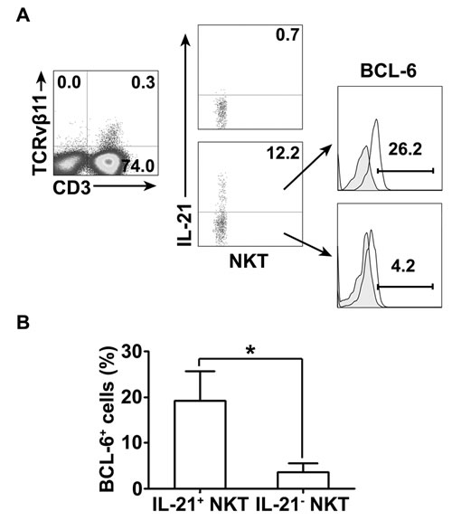 The expression of BCL-6 and IL-21 by NKT cells PFMCs were stimulated for 6 hrs with or without PPD plus anti-CD28.