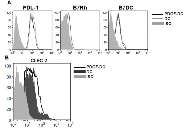 PDGF upregulates the expression of C-type lectin receptor, CLEC-2 on DCs.