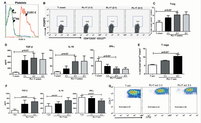 CLEC-2 expression on platelets induces T regulatory cells.