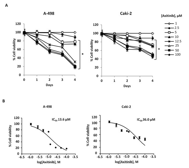 Axitinib inhibits RCC cell viability in a dose and time-dependent manner.