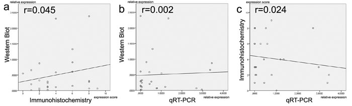 Comparison of TGF-&szlig;2 expression levels between different methodical platforms (Western blot, immunohistochemistry and qRT-PCR).
