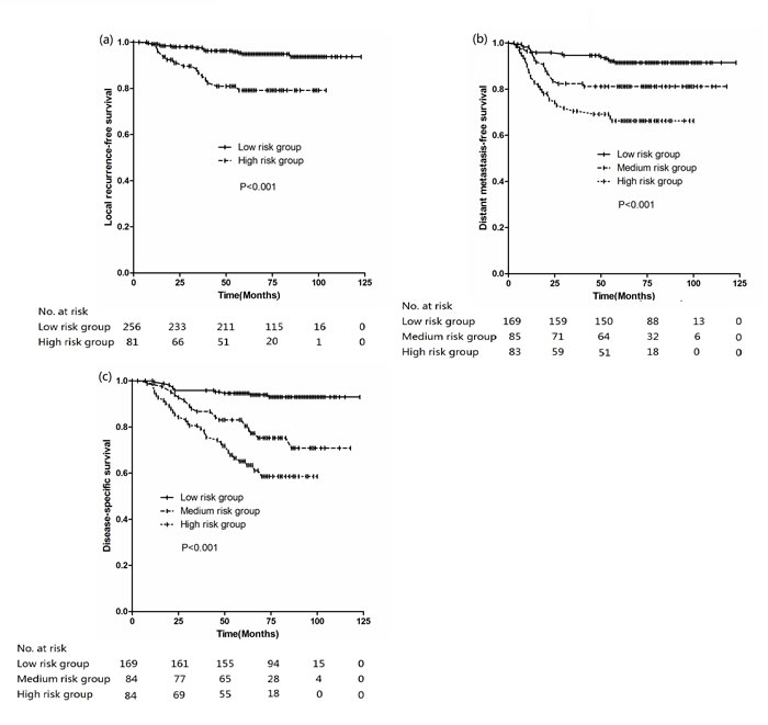 Kaplan-Meier curves stratified by different risk group (a) LRFS, (b) DMFS, (c) DSS