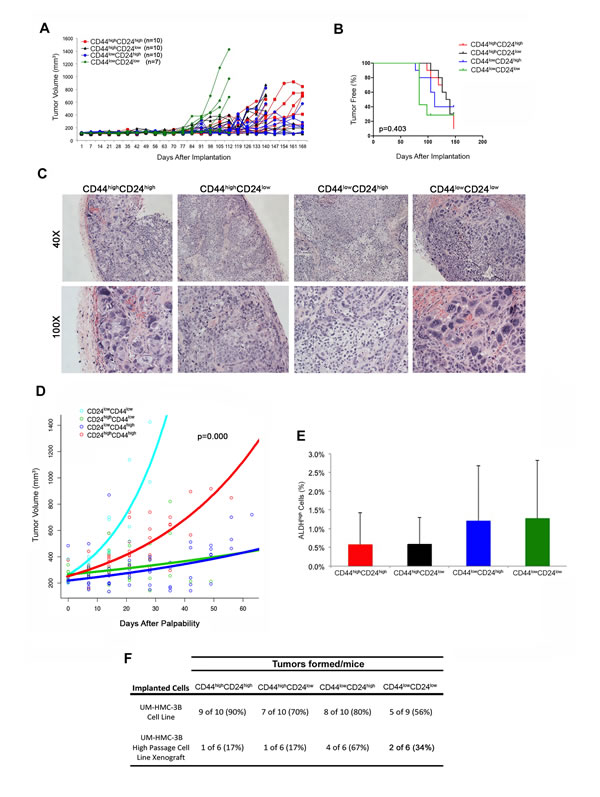 Tumorigenic potential of mucoepidermoid carcinoma cells sorted for CD44/CD24.