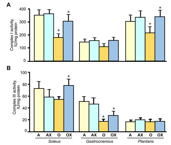 Enzymatic activity of the ETC complexes I (A), III (B), and IV (C), and citrate synthase (CS, D) in mitochondria isolated from soleus, gastrocnemius, and plantaris of XJB-treated (OX) or untreated (O) old rats.