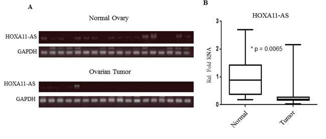 Figure 5: