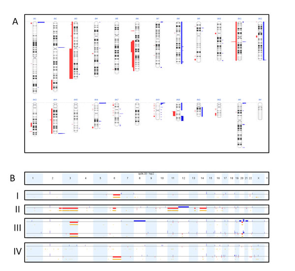 Oncoscan results.