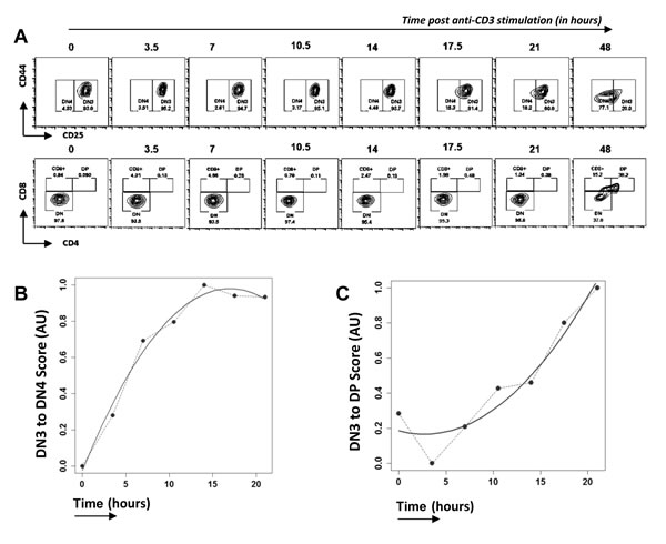 Time course analysis of transcriptional changes in Rag1-/- FTOC on anti-CD3 treatment.