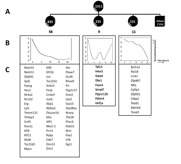 Down regulation of expression of genes following pre-TCR signal transduction.