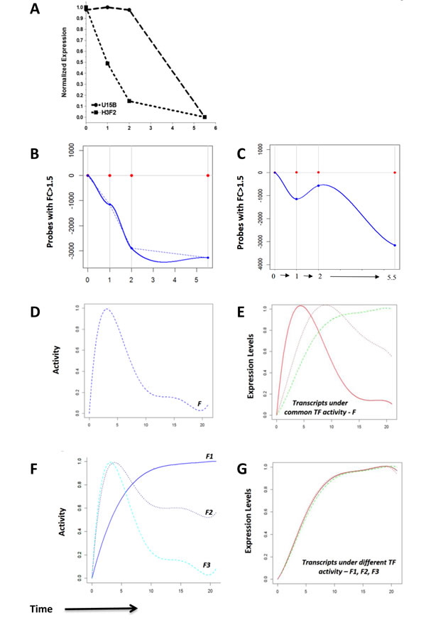 Measurement of transcript degradation and influence of degradation on interpretation of expression data.