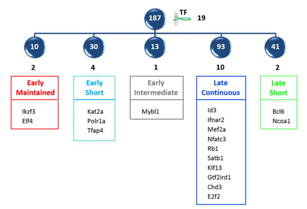 Intersection of modelled transcription factors with high scoring CCA genes.